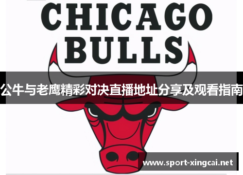 公牛与老鹰精彩对决直播地址分享及观看指南